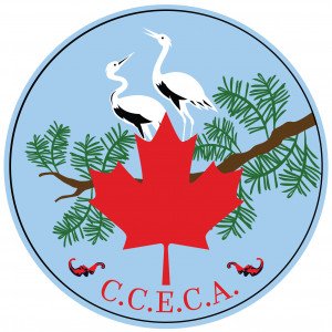 The Calgary Chinese Elderly Citizens' Association